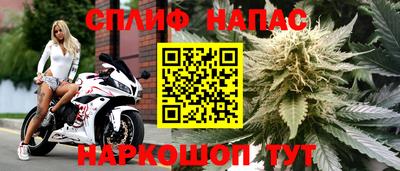 скорость Будённовск