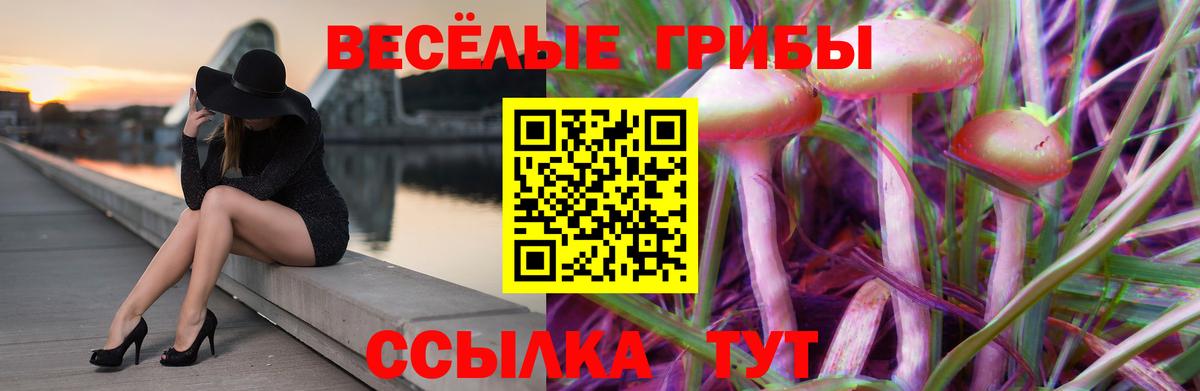 Псилоцибиновые грибы Psilocybine cubensis Саранск